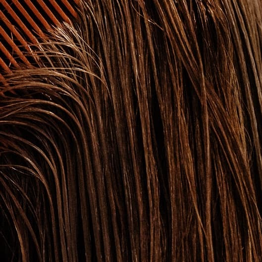 🎁Unlimited Month Pass at Bend Blowouts in Bend, OR
